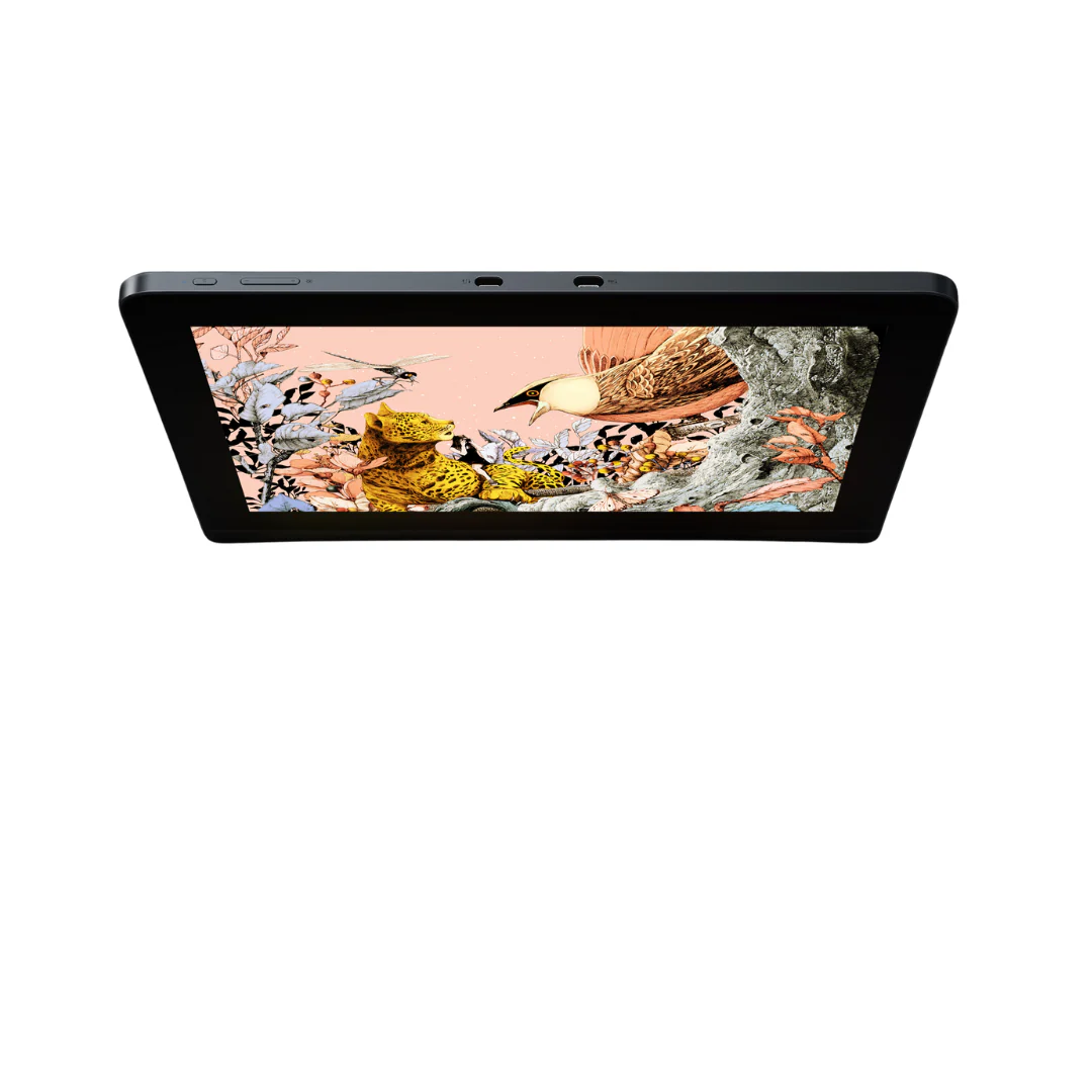 XPPen Artist Pro 16 Gen 2 2560x1600 display resolution 16K Pen pressure Pen Tablet - Image 4